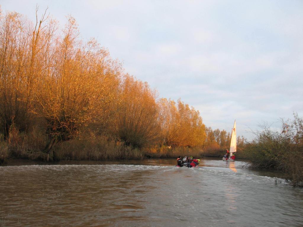 دريميلين Bed And Breakfast De Biesbosch - In 'T Riet المظهر الخارجي الصورة