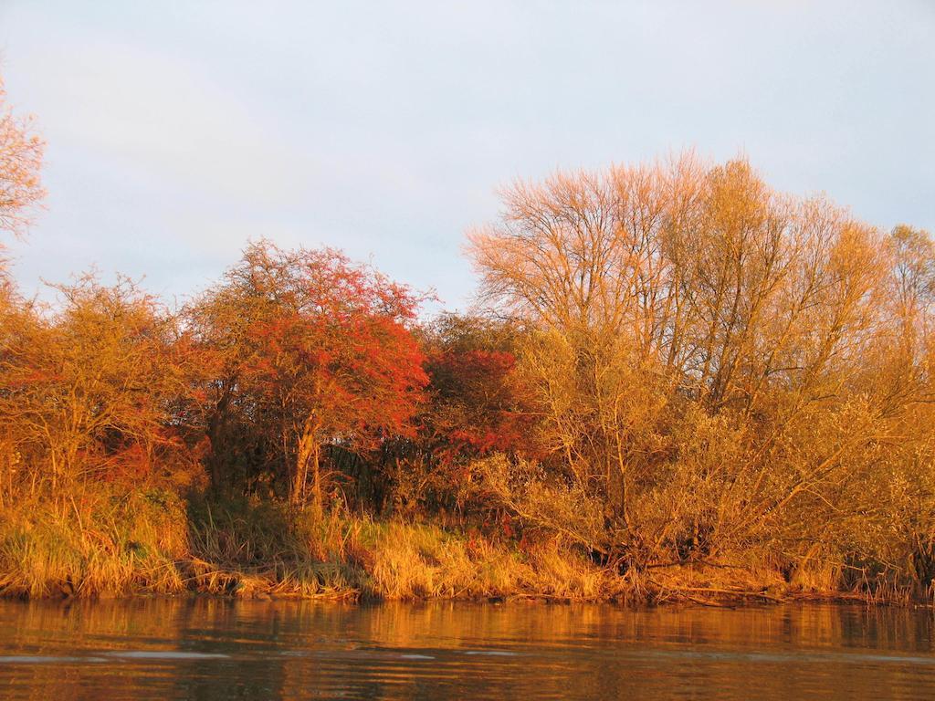 دريميلين Bed And Breakfast De Biesbosch - In 'T Riet المظهر الخارجي الصورة